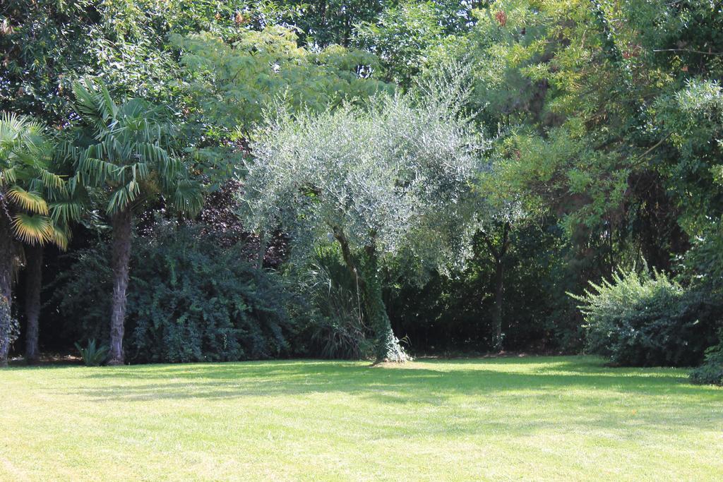 Villa Abbamer Ґроттаферрата Екстер'єр фото